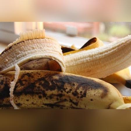 云南香蕉今日最新价格走势分析