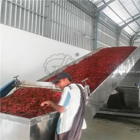 烘干机最新报价与市场趋势分析