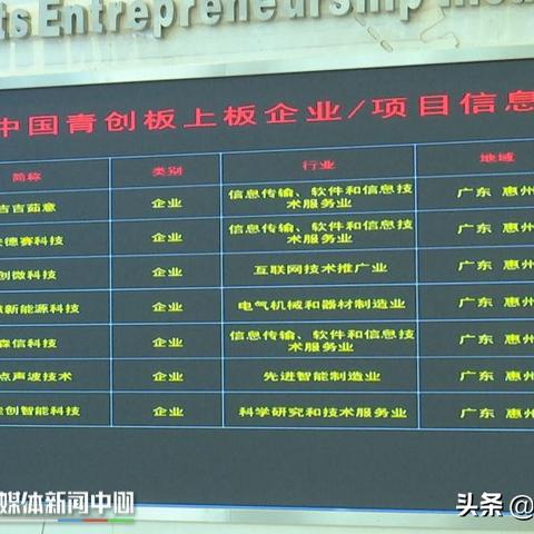 最新热门创业项目深度解析报告