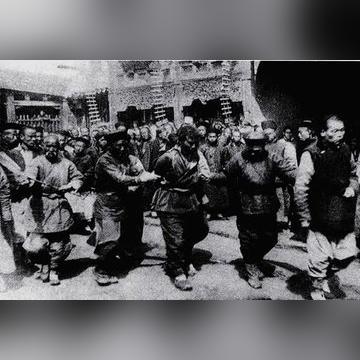 官场痞子新作深度解析，数据揭秘现实真相