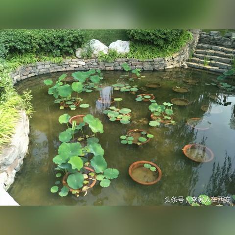 临潼土地开发新规划亮相