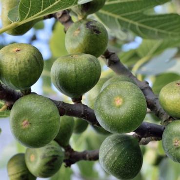 床聊APP最新版下载，全新功能，优质体验