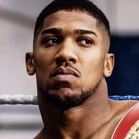 世界拳王争霸赛最新比赛报道（2025年）