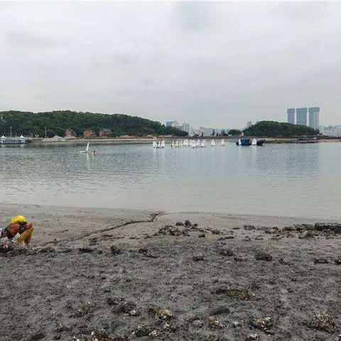 厦门地铁8号线最新进展消息速递