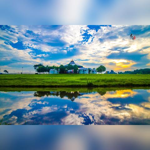 青青草原视频数据报告，最新免费观看趋势分析