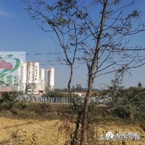 荔玉高速最新线路图全面解析