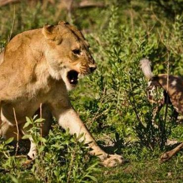 重生之富二代，华丽转身与全新篇章的探秘