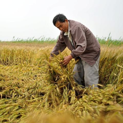 河北快3开奖走势分析最新数据解读