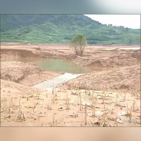 罗平板桥水怪最新动态