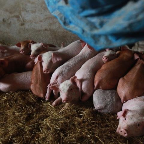 微信优惠群号来袭！省钱新玩法，轻松享福利
