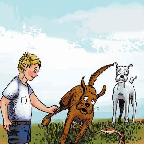 汉克狗2最新版上线，全新体验与特色功能揭秘