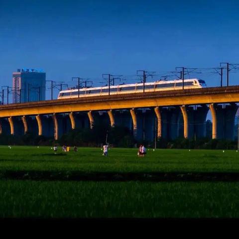 视高大学城最新动态，深度解读最新消息