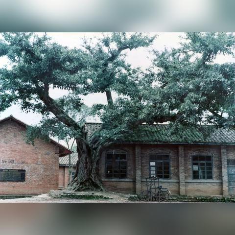 视高大学城最新动态,深度解读最新消息