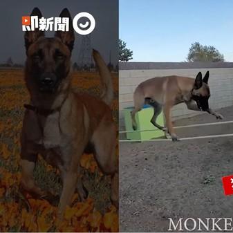 球球大作战破解版解析与使用指南