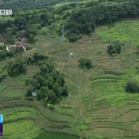 四川大竹最新新闻动态速递