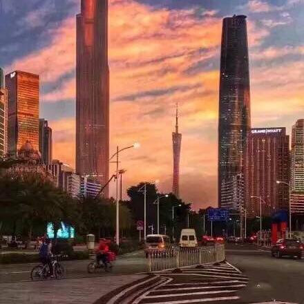 三号台风苗柏最新深度报道