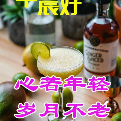 微信问候动态图数据趋势与社交洞察，新风尚揭秘