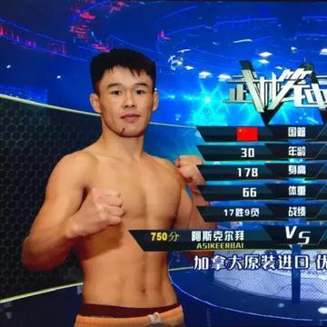 武林笼中对最新一期笼深度解析与回顾