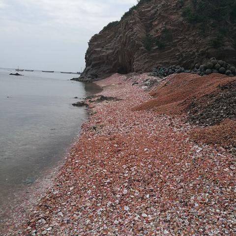 崆峒岛搬迁最新进展，深度解读搬迁动态