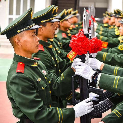 汕尾市最新新闻报道概况